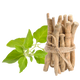 <strong>Ashwagandha</strong> – Un adaptógeno que ayuda a combatir el estrés