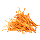 <strong>Hongo Cordyceps</strong> – Reconocido por aumentar la resistencia y acelerar la recuperación